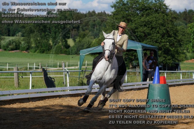 s_K3F05151.JPG